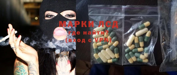 прущие крисы Бородино
