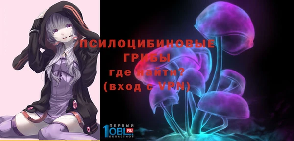 прущие крисы Бородино