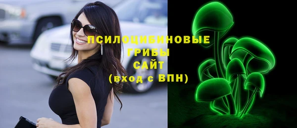 прущие крисы Бородино