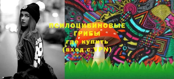 прущие крисы Бородино