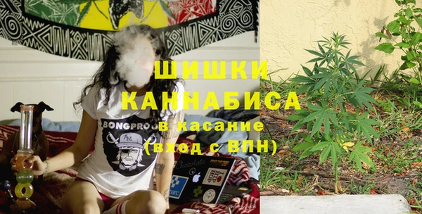 прущие крисы Бородино