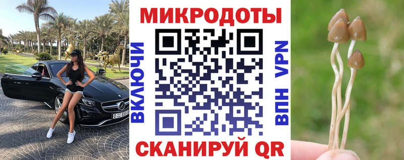 Купить где  Высоковск  Галлюциногенные грибы ЛСД 