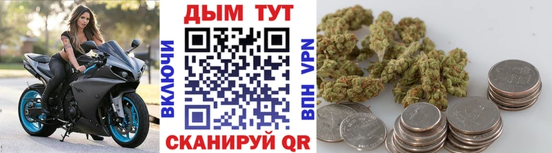Купить где  Высоковск  Бошки Шишки тримм 